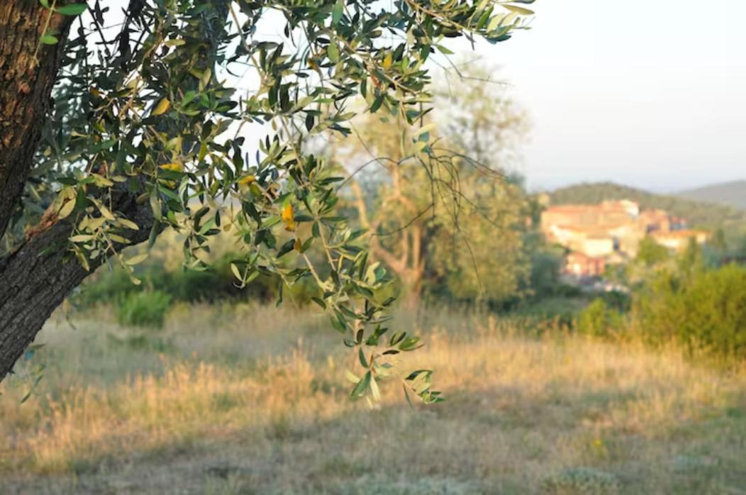 Agriturismo Poggio Falco Batignano Экстерьер фото